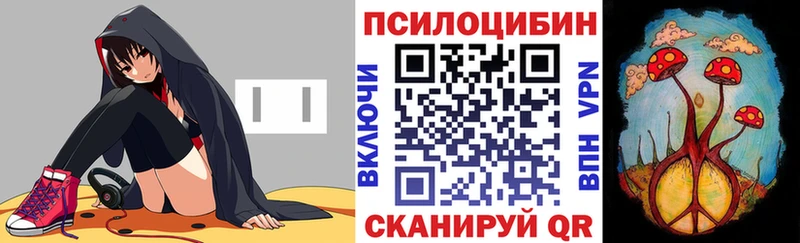 Галлюциногенные грибы Psilocybine cubensis  Купить где  Гагарин 